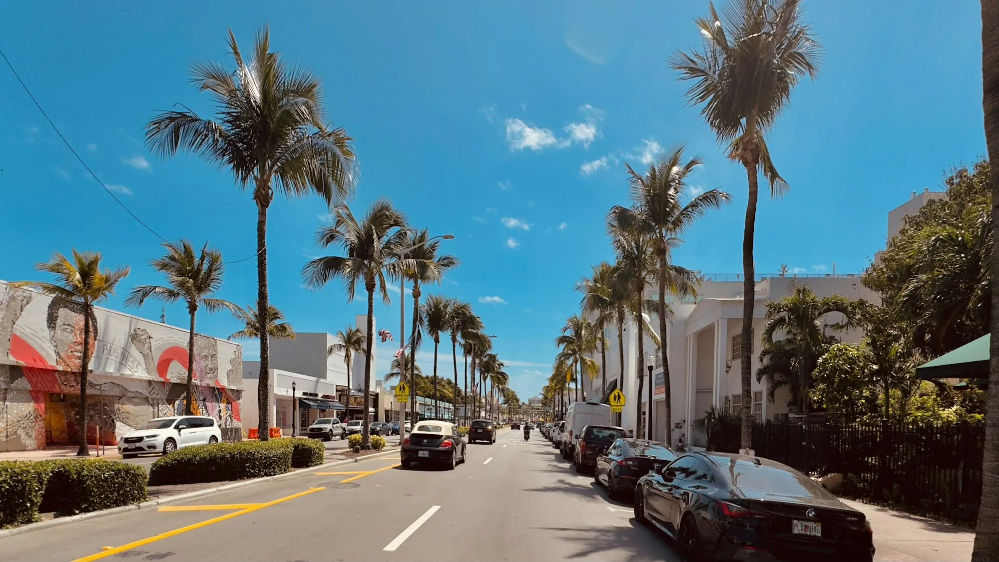 A residential street lined with tall palms and parked cars