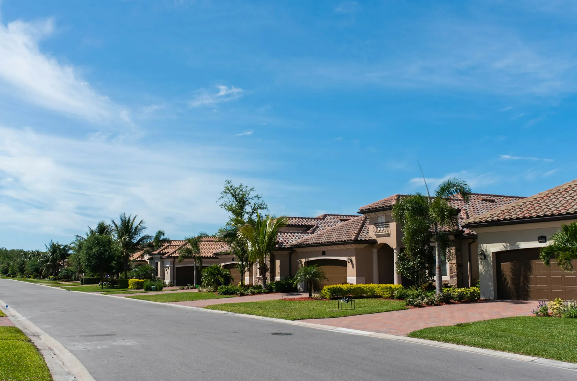 A quiet suburban street of single-storey houses lined with palms and clipped lawns
